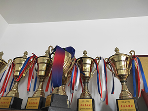 優(yōu)秀團(tuán)隊獎杯